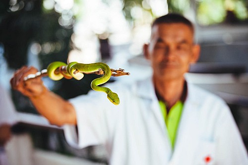 Kay Fochtmann - Thailand - Bangkok - snake - man - schlange - viper - travel photography